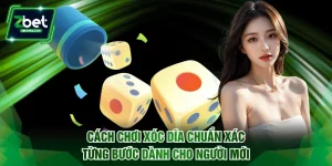 Cách chơi xóc dĩa